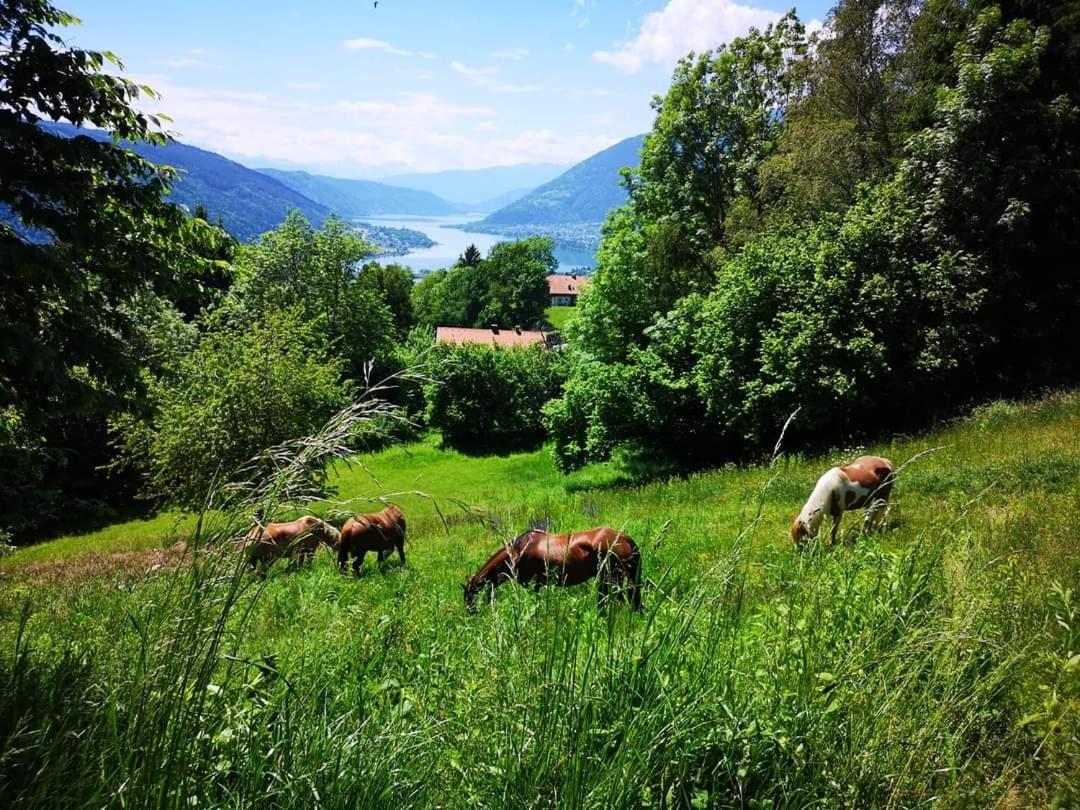 Appartement Lake View Steindorf am Ossiacher See Bagian luar foto